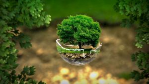 أهداف المناخ - صورة رمزية تشير إلى أهمية الحفاظ على البيئة