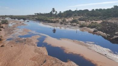 Photo of كارثة بيئيّة تهدد أراضٍ زراعية بعد التسرب النفطي في الجزائر