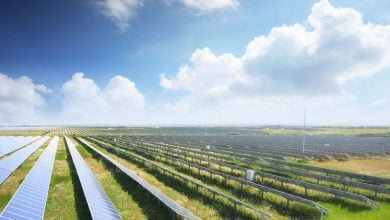 Photo of إبيكورب تستثمر 50 مليون دولار في الطاقة الشمسية