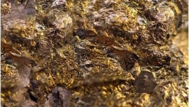 Photo of اكتشاف منجم ذهب في إيران باحتياطي 8 أطنان