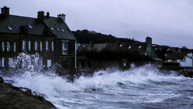 Photo of العاصفة بيلا تقطع الكهرباء عن 34 ألف منزل في فرنسا