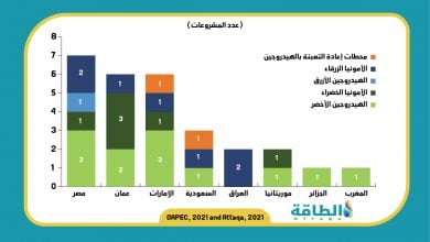 Photo of أوابك: 8 دول عربية تتسابق في مشروعات الهيدروجين.. وموريتانيا أحدث المنضمين
