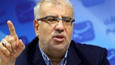 Photo of وزير النفط الإيراني: قرارات أوبك+ تؤثر في أسعار النفط لعدة أشهر