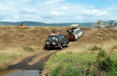السيارات تجوب إحدى المناطق المحمية في كينيا