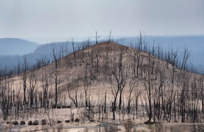 حرائق غابات أحد مشاهد أزمة التغير المناخي في أستراليا