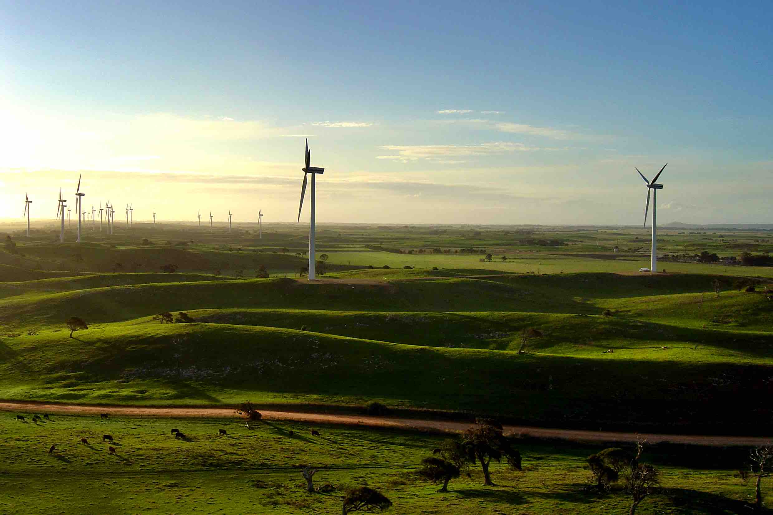 طاقة الرياح في جنوب أستراليا