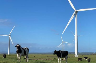 wind farm in australia