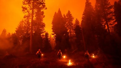 Photo of حرائق الغابات في كاليفورنيا.. ضيف موسمي أصبح "دائمًا" بفعل تغير المناخ