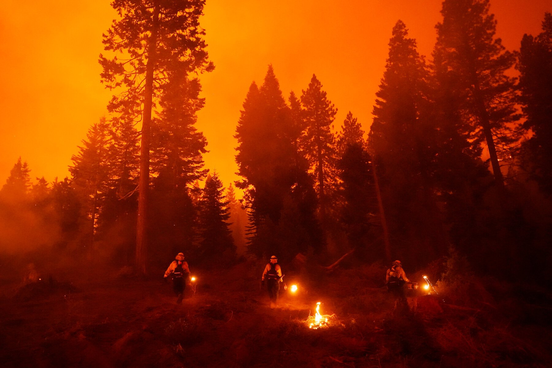 حرائق الغابات في كاليفورنيا الأميركية