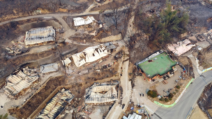 حرائق الغابات تهدد منشآت الطاقة في كوريا الجنوبية