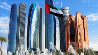 Photo of الإمارات تستحوذ على 3 شركات أسمدة وشحن مصرية بأقل من مليار دولار