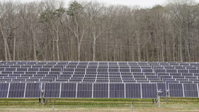 Photo of الطاقة الشمسية في أميركا تواجه احتجاجات ضد استخدام الأراضي الريفية