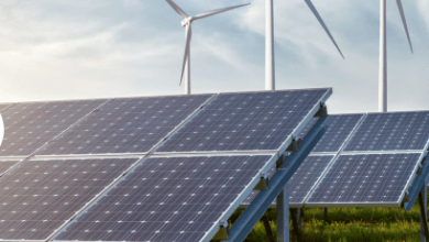 Photo of فورتكس إنرجي تضخ استثمارات جديدة في الطاقة المتجددة