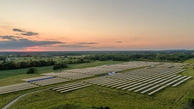 Photo of كيف يمكن استغلال الطاقة الشمسية في الزراعة؟