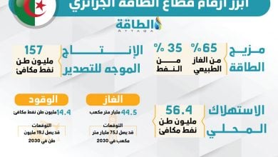 Photo of قطاع الطاقة في الجزائر.. 5 أرقام تهدد المصدر الرئيس للدخل (إنفوغرافيك)