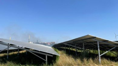 Photo of حريق في محطة للطاقة الشمسية بهولندا.. والسبب موجة الحر الأوروبية (صور وفيديو)