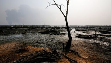 Photo of التلوث النفطي في نيجيريا.. دائرة مفرغة تضع الحكومة وشركة شل في قفص الاتهام