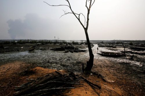 تداعيات التلوث النفطي في نيجيريا على الأشجار والتربة