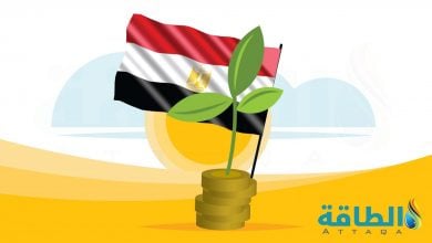 Photo of مصر تستهدف رفع نسبة المشروعات الخضراء لـ100% بحلول 2030