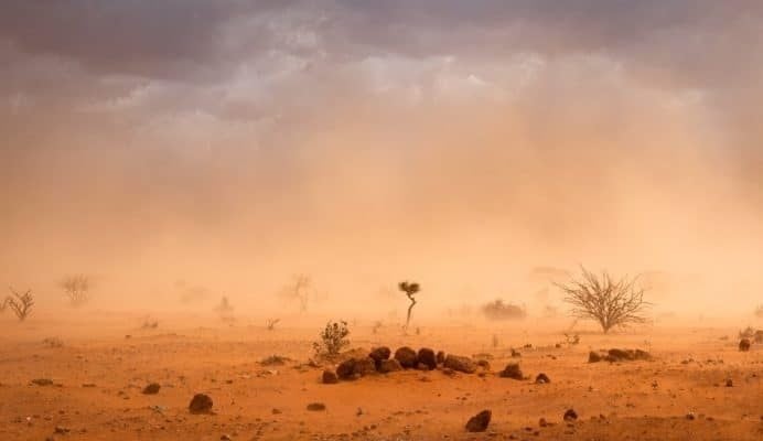 تغير المناخ يتسبب بموجة جفاف في أفريقيا