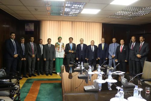 لقاء وزير الكهرباء المصري مع وفد آيرينا
