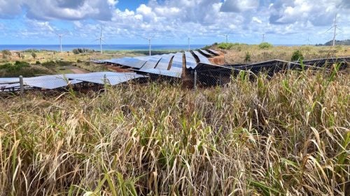 تطوير المزيد من مشروعات الطاقة المتجددة في هاواي بعد إغلاق آخر محطة كهرباء تعمل بالفحم