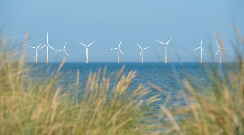 أكبر شركة لتطوير طاقة الرياح البحرية في العالم تتلقي استثمارات إماراتية