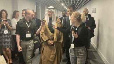 Photo of وزير الطاقة السعودي يتحدث عن "مفاجأة" في قمة المناخ كوب 27