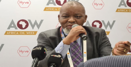 وزير الموارد المعدنية والطاقة في جنوب أفريقيا، غويدي مانتاشي