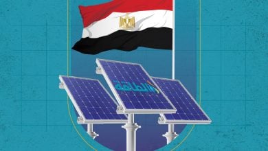 Photo of أسعار الألواح الشمسية في مصر ترتفع 90%.. وشركات تهدد بالإغلاق