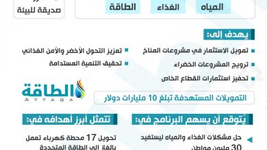 Photo of 7 معلومات عن برنامج نوفي لجذب التمويلات الخضراء في مصر (إنفوغرافيك)