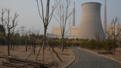 Photo of حقيقة بناء الصين 648 محطة جديدة لتوليد الكهرباء بالفحم