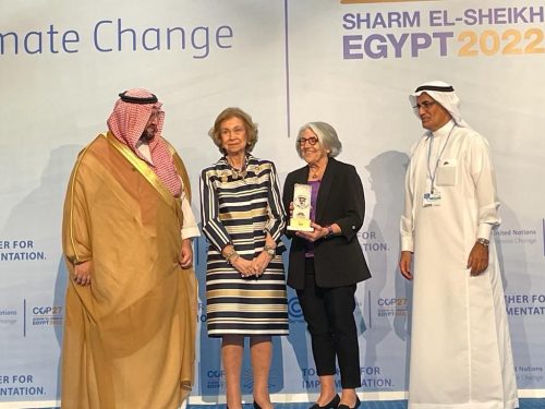 جانب من احتفالية تسليم جائزة الأمير طلال الدولية للتنمية البشرية للعام 2021 على هامش قمة المناخ