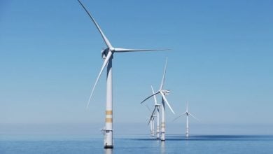 Photo of هولندا تتوسع في طاقة الرياح البحرية بتطوير 3 مزارع قبالة سواحلها