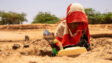 Photo of تغير المناخ يضرب الصومال بأزمتي الجفاف وسوء التغذية (تقرير)