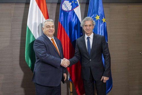 جانب من فعاليات افتتاح محطة الكهرباء الجديدة بين المجر وسلوفينيا لتطوير خط أنابيب لنقل الغاز الجزائري
