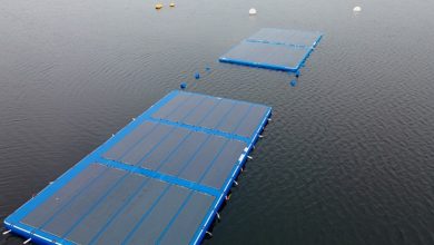 Photo of هولندا تدعم إنشاء منصات شمسية عائمة في بحر الشمال (تقرير)