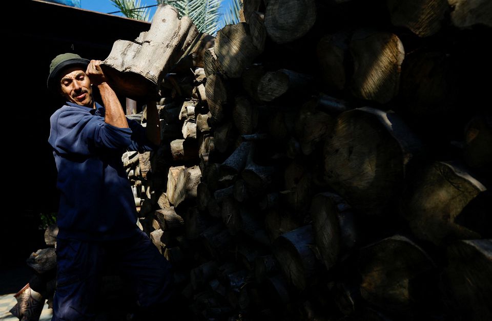انتعشت تجارة الحطب في غزة مع ارتفاع أسعار الوقود في فلسطين