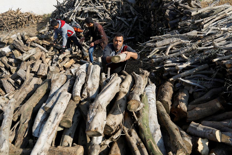 انتعشت تجارة الحطب في غزة مع ارتفاع أسعار الوقود في فلسطين