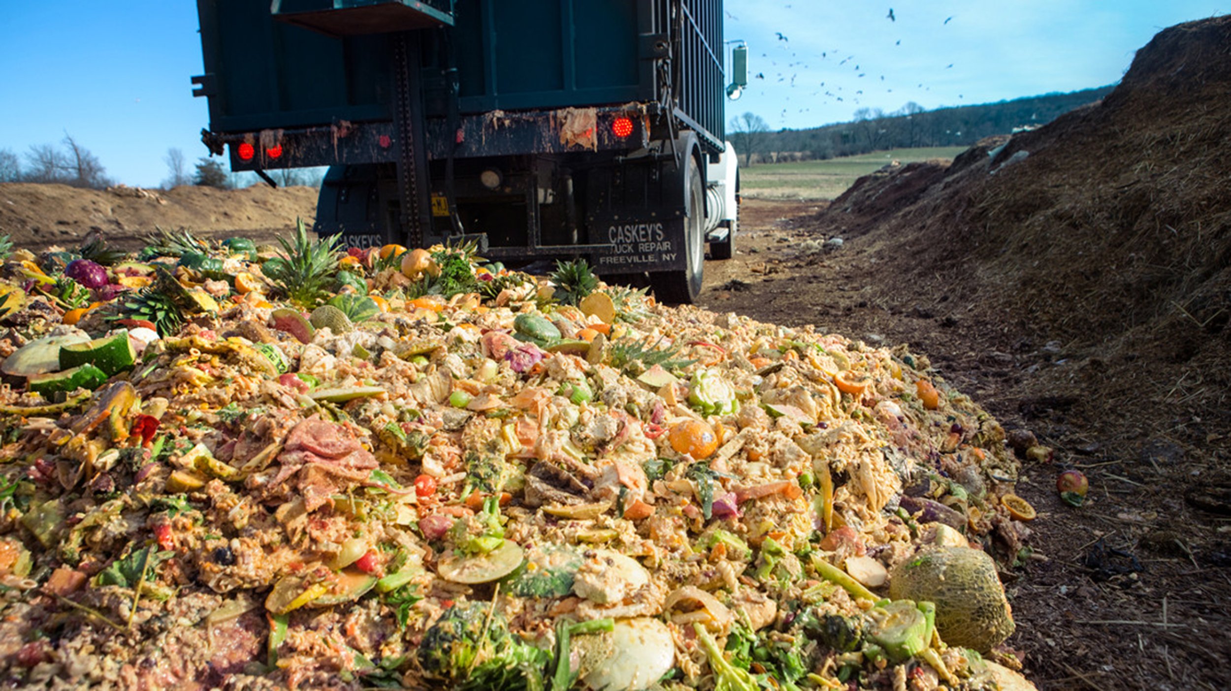 أطنان من النفايات العضوية وبقايا الطعام ملقاة في المكبات