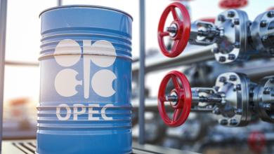 Photo of إنتاج أوبك+ النفطي يرتفع 140 ألف برميل يوميًا في ديسمبر (مسح)