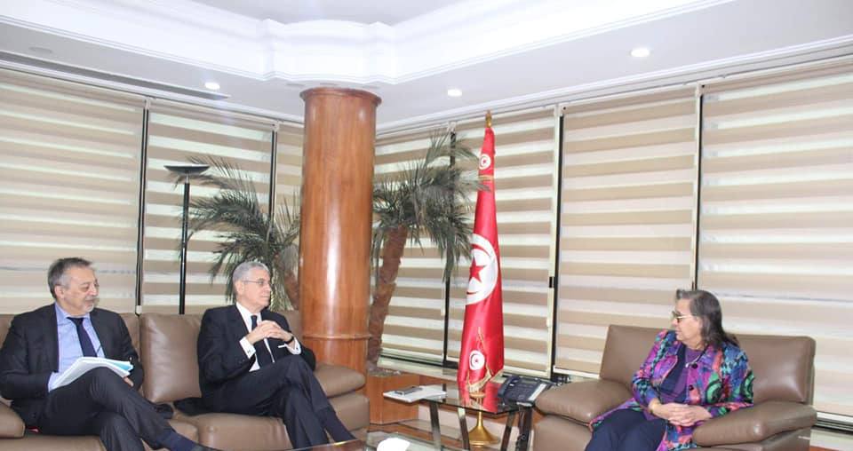 البنك الدولي يبحث تطورات مشروع الربط الكهربائي بين تونس وإيطاليا