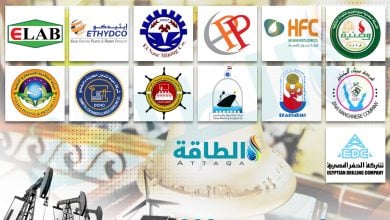 Photo of مصر تبيع حصصًا في 15 شركة نفط وكهرباء ومعادن.. و4 دول خليجية تدرس الشراء