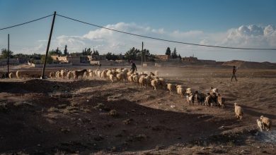 Photo of كوارث التغير المناخي والزلزال تعمّق جراح المناطق الزراعية في سوريا (تقرير)