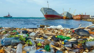 Photo of تونس تلجأ إلى الاقتصاد الدائري لمواجهة النفايات البلاستيكية في البحر المتوسط