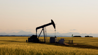 Photo of استثمارات النفط والغاز في كندا قد تصل إلى 29 مليار دولار في 2023