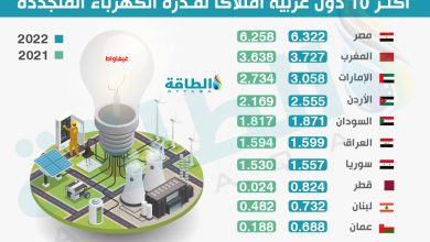 Photo of أكثر الدول العربية امتلاكًا لقدرة الكهرباء المتجددة بنهاية 2022 (تقرير)