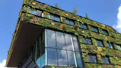 Photo of المباني الخضراء مفهوم جديد لجمال التصميم وحماية الكوكب من الانبعاثات (صور)