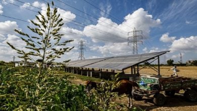 Photo of الري بالطاقة الشمسية أمل مزارعي أفريقيا لتحسين ظروفهم المعيشية