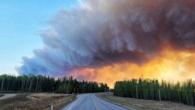 Photo of تغير المناخ يحرق الغابات ويشرد البشر في ألبرتا الكندية